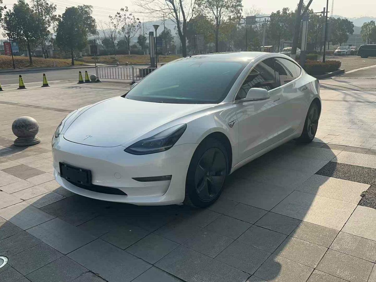 特斯拉 Model X  2020款 Performance 高性能版圖片