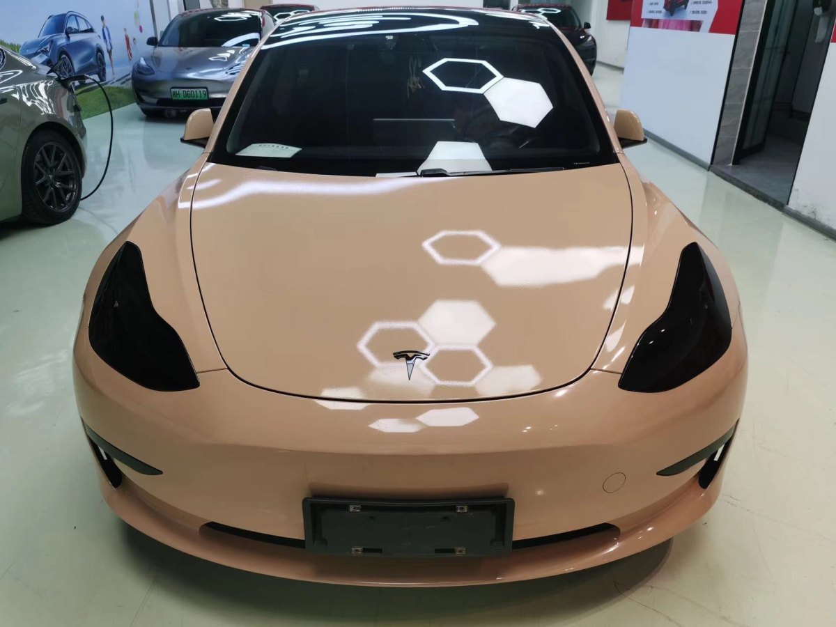 特斯拉 Model 3  2019款 標(biāo)準(zhǔn)續(xù)航后驅(qū)升級(jí)版圖片