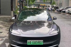 Model Y 特斯拉 Performance高性能版