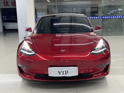 2019年05月 特斯拉 Model 3 長續(xù)航后驅(qū)版圖片