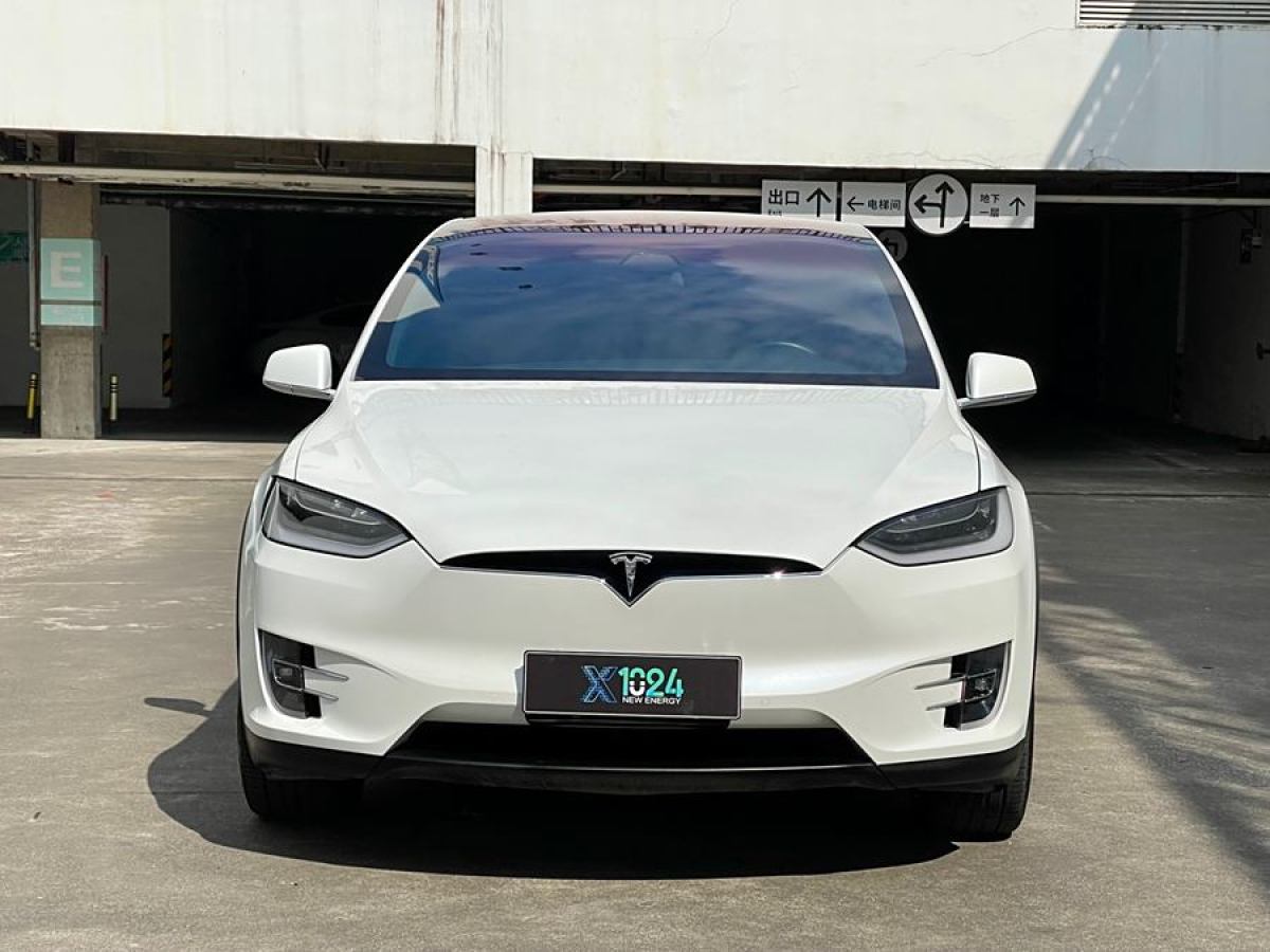 特斯拉 Model X  2019款 長續(xù)航版圖片