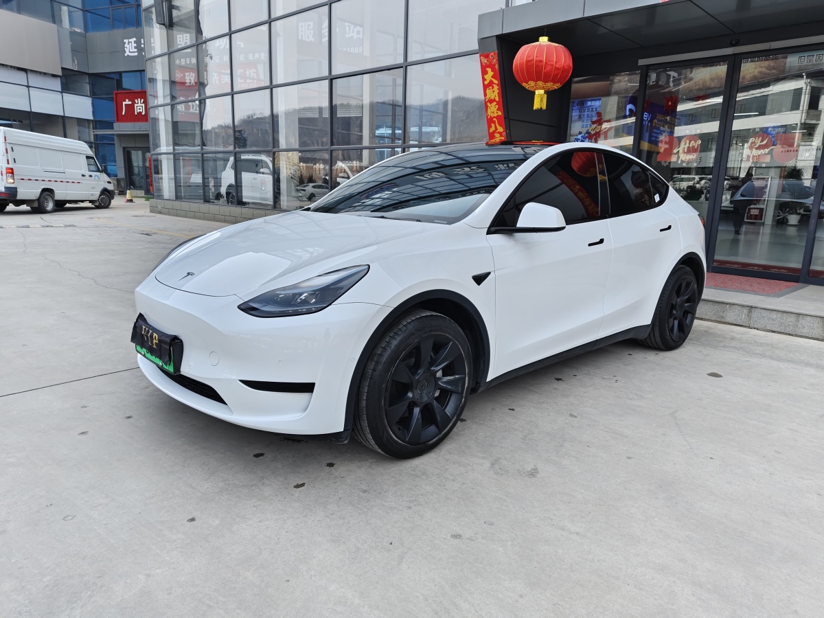 特斯拉 Model 3  2020款 改款 長續(xù)航后輪驅(qū)動版圖片