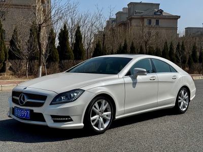 2015年3月 奔馳 奔馳CLS級(進(jìn)口) CLS 300 CGI圖片