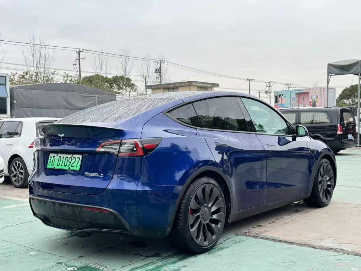 特斯拉 Model 3  2022款 Performance高性能全輪驅(qū)動版圖片