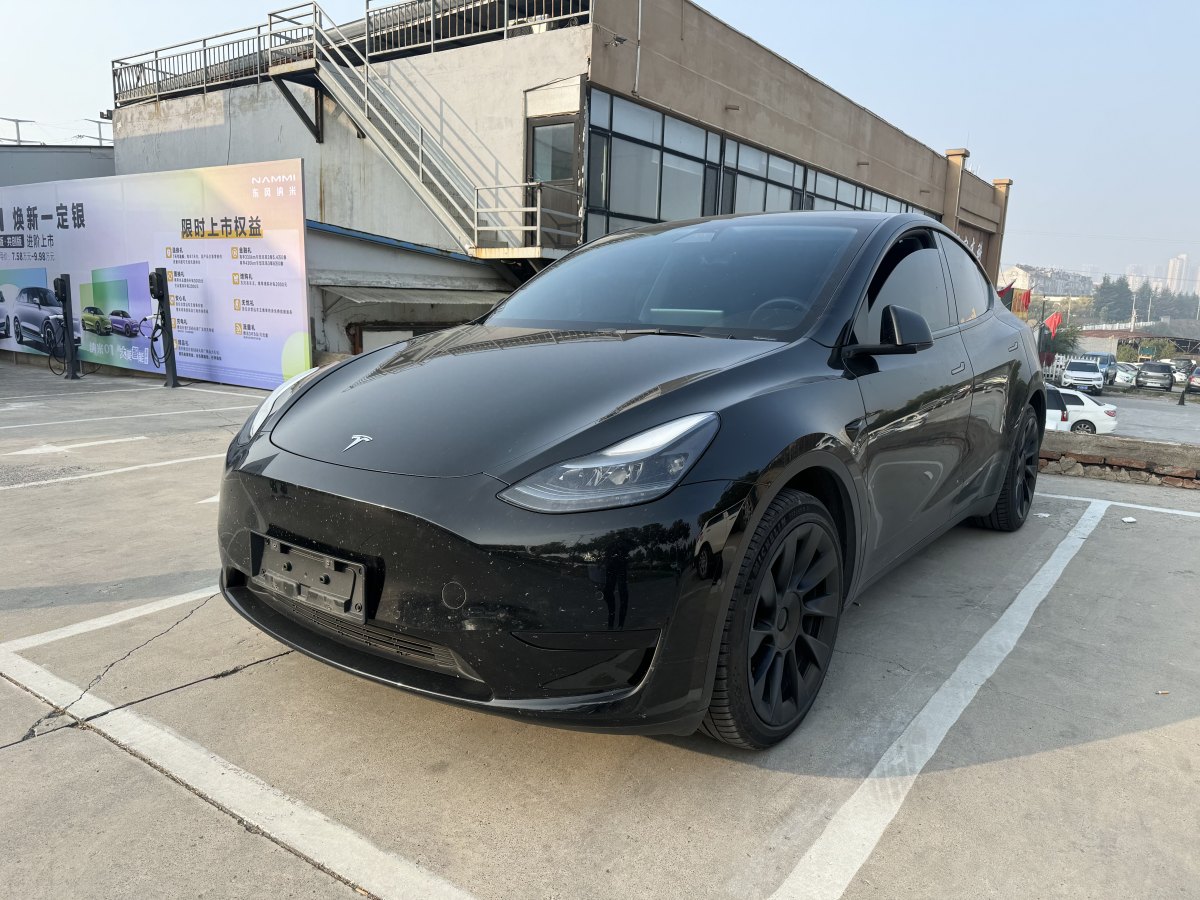 特斯拉 Model Y  2020款 改款 長續(xù)航后輪驅動版圖片