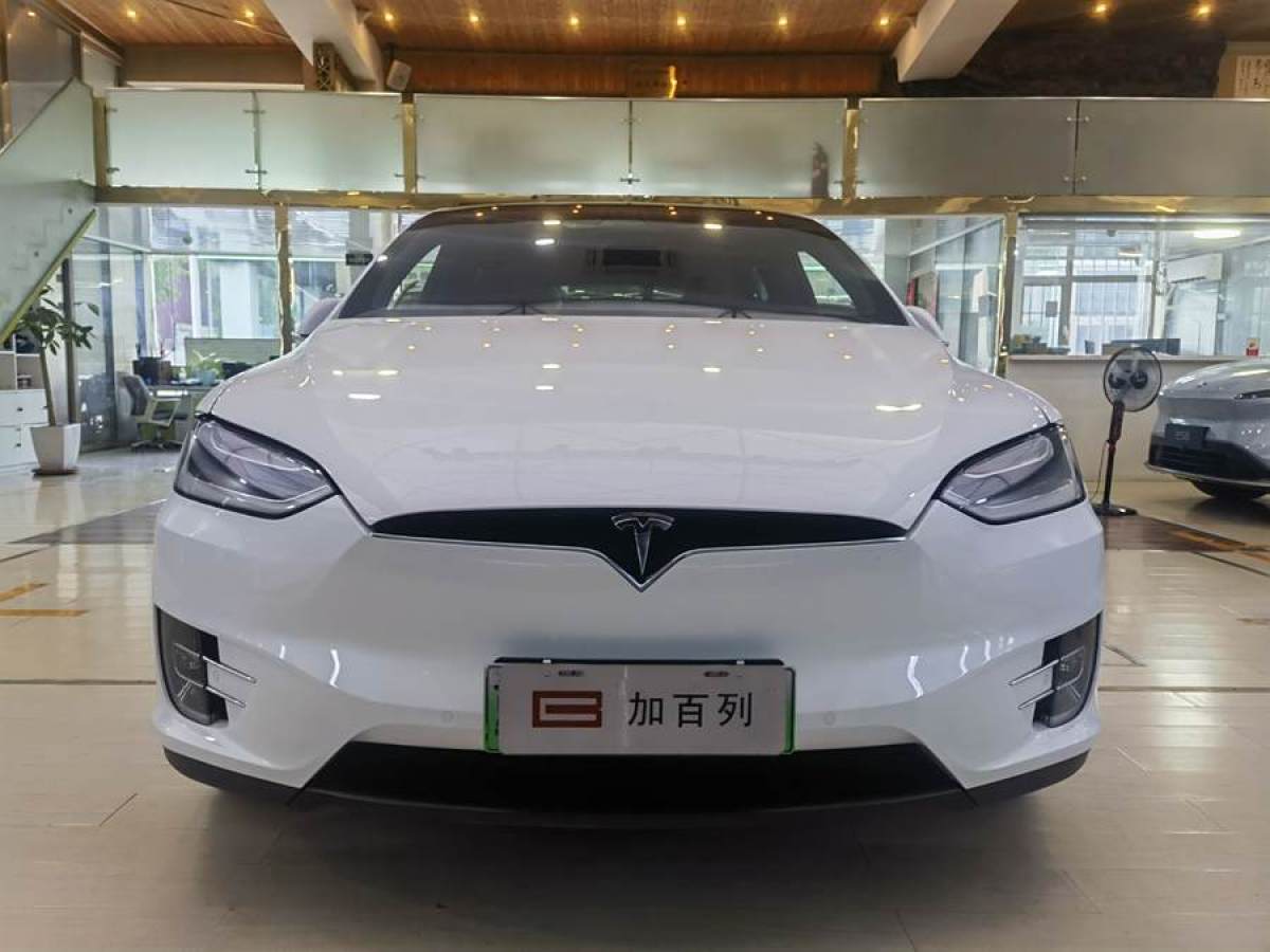 特斯拉 Model X  2017款 Model X 100D 長(zhǎng)續(xù)航版圖片