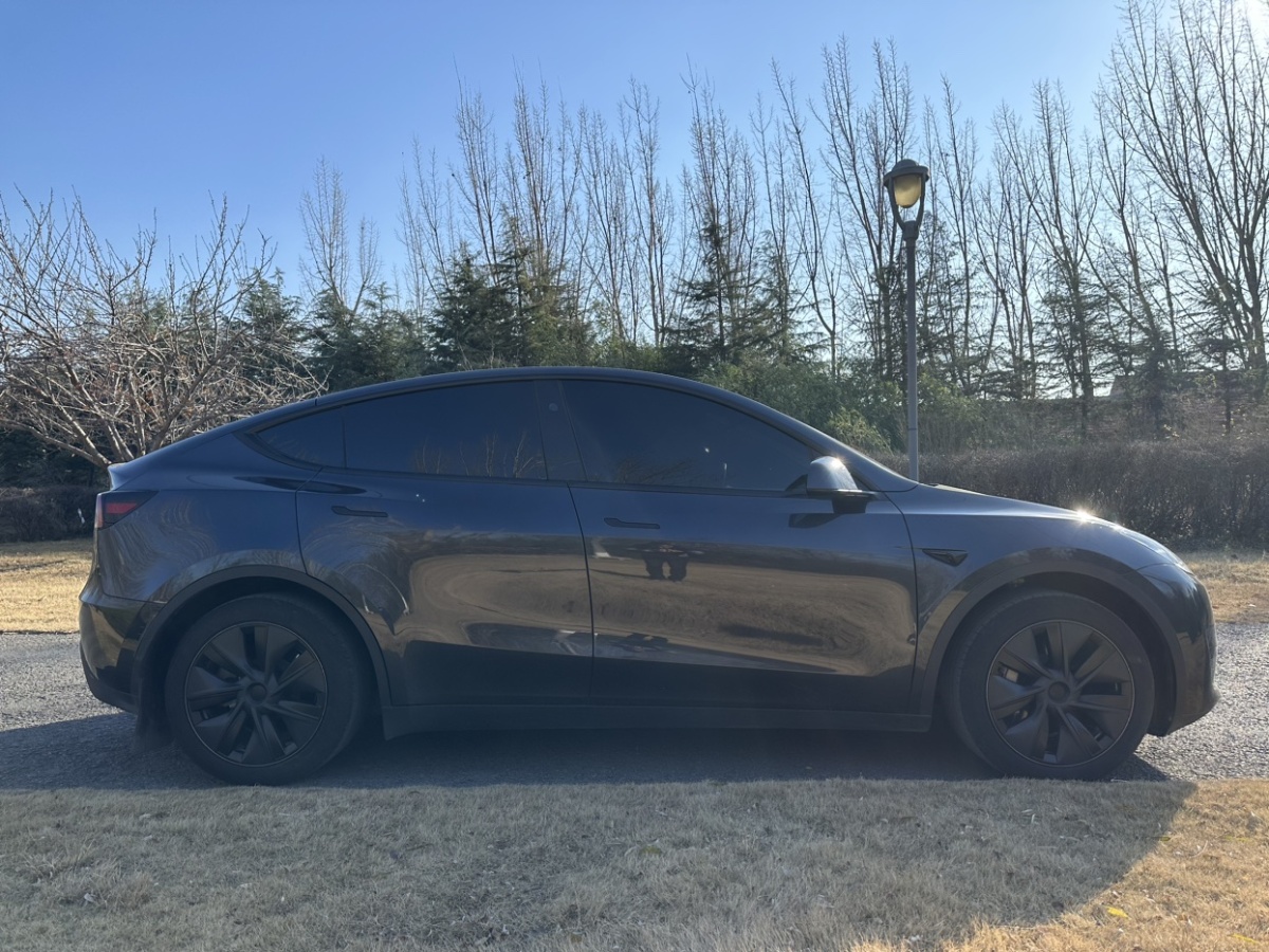 特斯拉 Model Y  2024款 后輪驅動版圖片