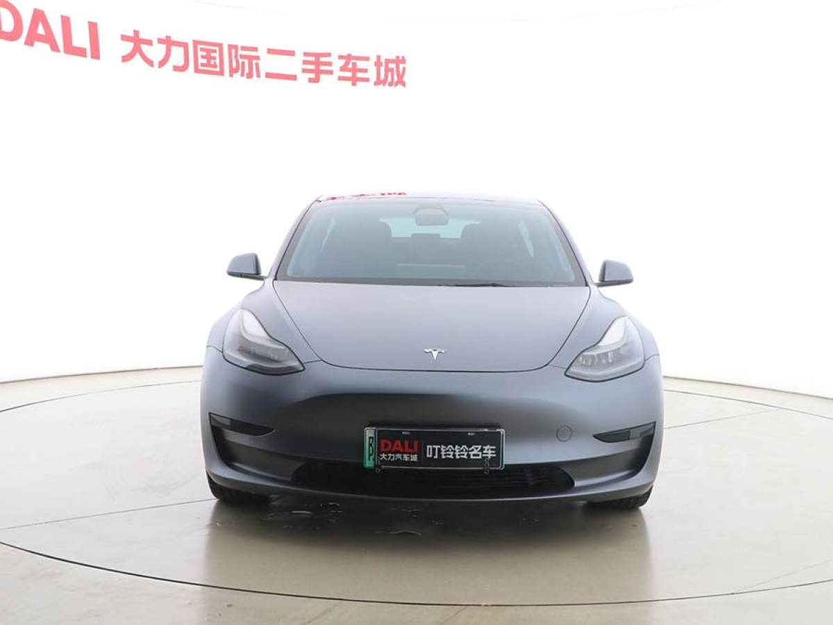 特斯拉 Model 3  2021款 改款 標準續(xù)航后驅升級版圖片