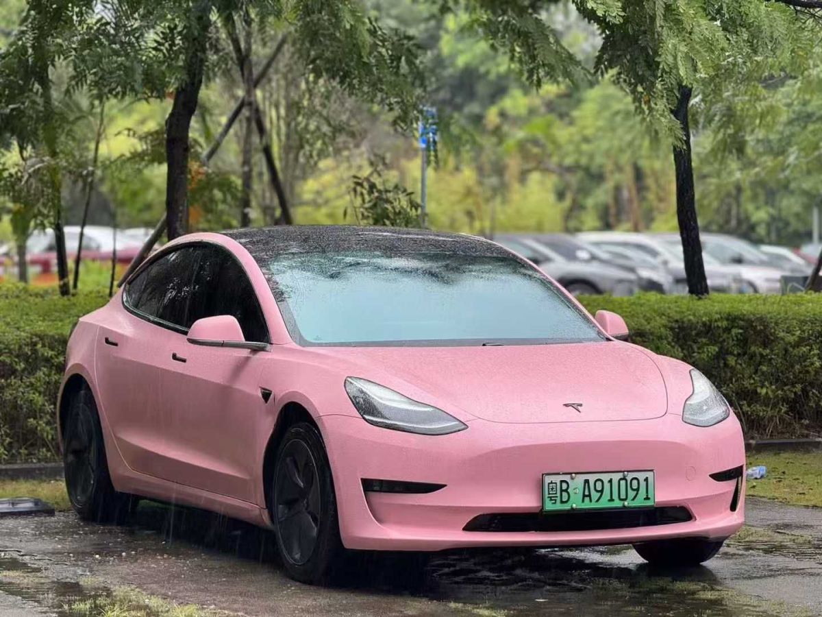 特斯拉 Model 3  2020款 標(biāo)準(zhǔn)續(xù)航后驅(qū)升級(jí)版圖片