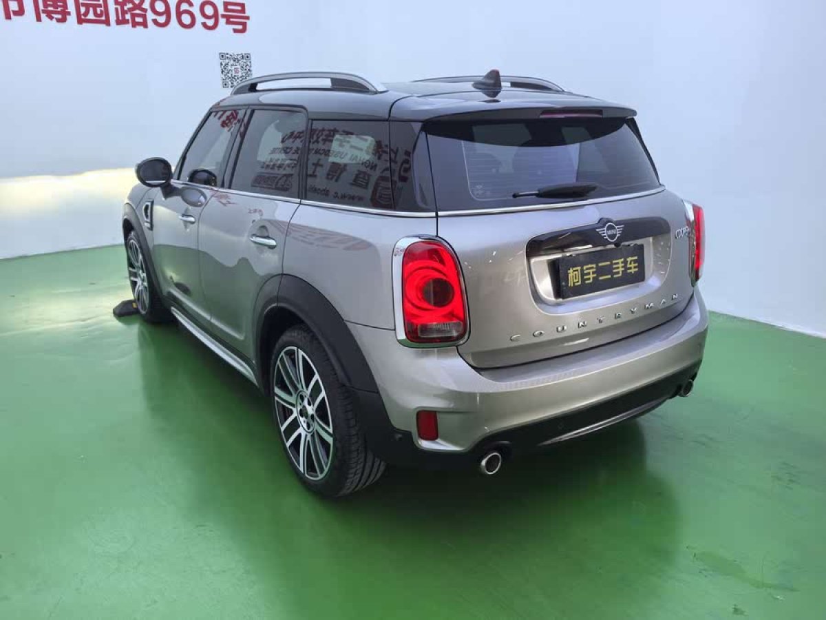 MINI COUNTRYMAN  2019款 2.0T COOPER S ALL4 藝術(shù)家圖片