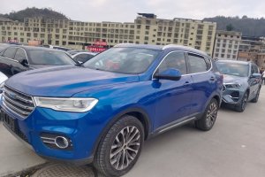 H6 哈弗 换代 蓝标 2.0T 自动两驱智尚型