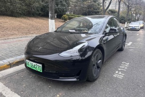 Model 3 特斯拉 标准续航后驱升级版 3D6