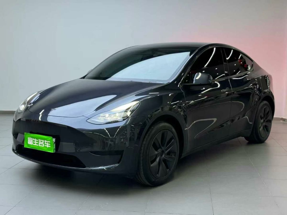 特斯拉 Model Y  2024款 Performance高性能版圖片