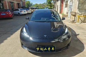 Model 3 特斯拉 改款 后轮驱动版