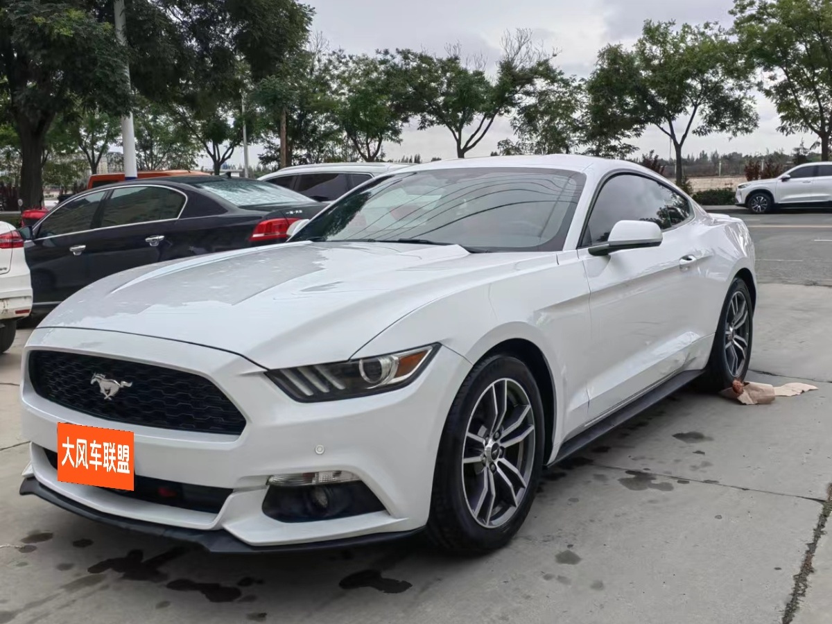 福特 Mustang  2016款 2.3T 性能版圖片