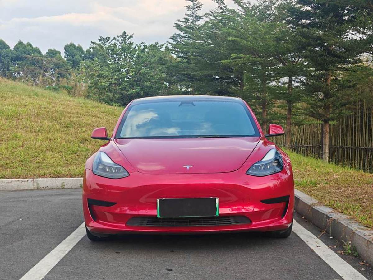 特斯拉 Model Y  2021款 標(biāo)準(zhǔn)續(xù)航后驅(qū)升級(jí)版 3D6圖片