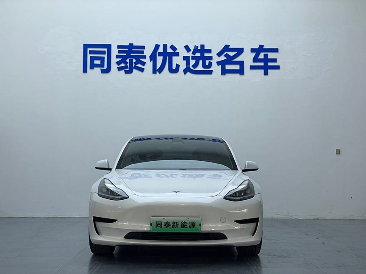 2021年1月特斯拉 Model 3  2021款 改款 標(biāo)準(zhǔn)續(xù)航后驅(qū)升級版