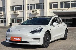 Model 3 特斯拉 標(biāo)準(zhǔn)續(xù)航后驅(qū)升級版