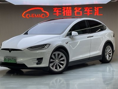 2018年4月 特斯拉 Model X Model X 100D 長(zhǎng)續(xù)航版圖片