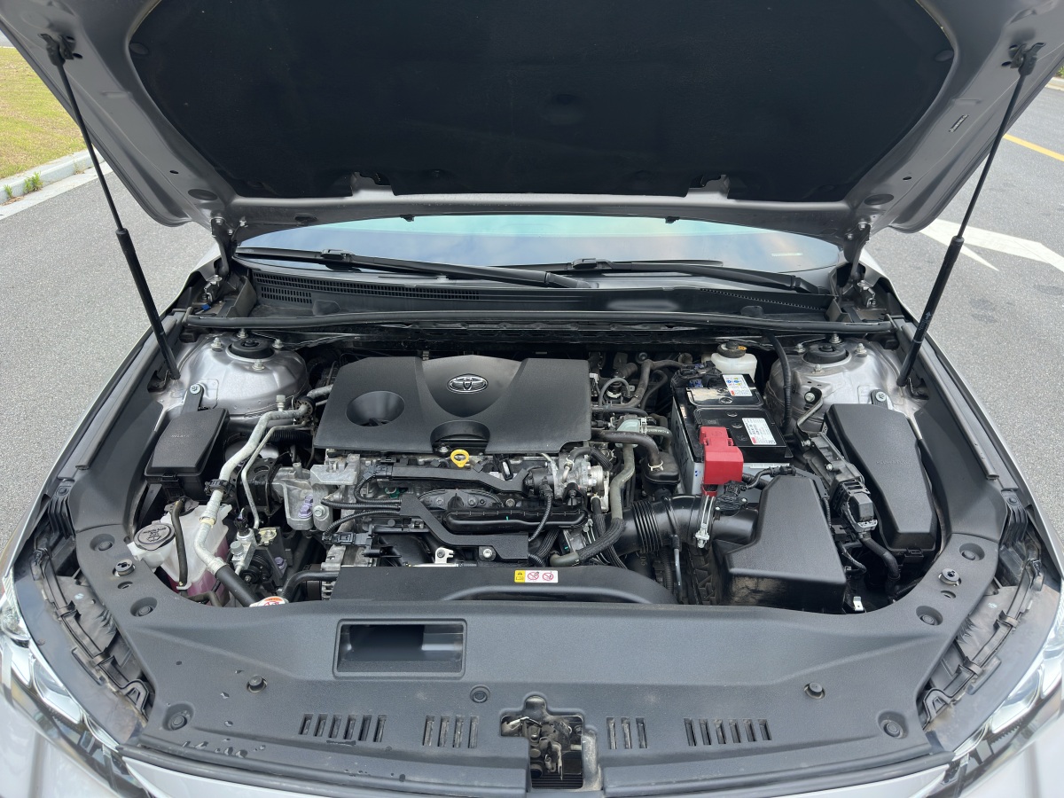 豐田 亞洲龍  2019款 2.0L 豪華版圖片