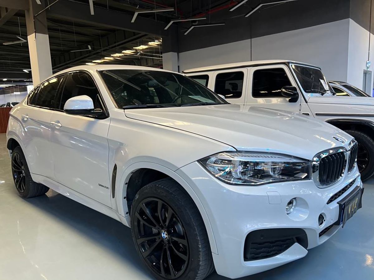 寶馬 寶馬X6  2018款 xDrive35i 領(lǐng)先型圖片