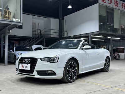 2013年8月 奥迪 奥迪A5(进口) Cabriolet 40 TFSI图片