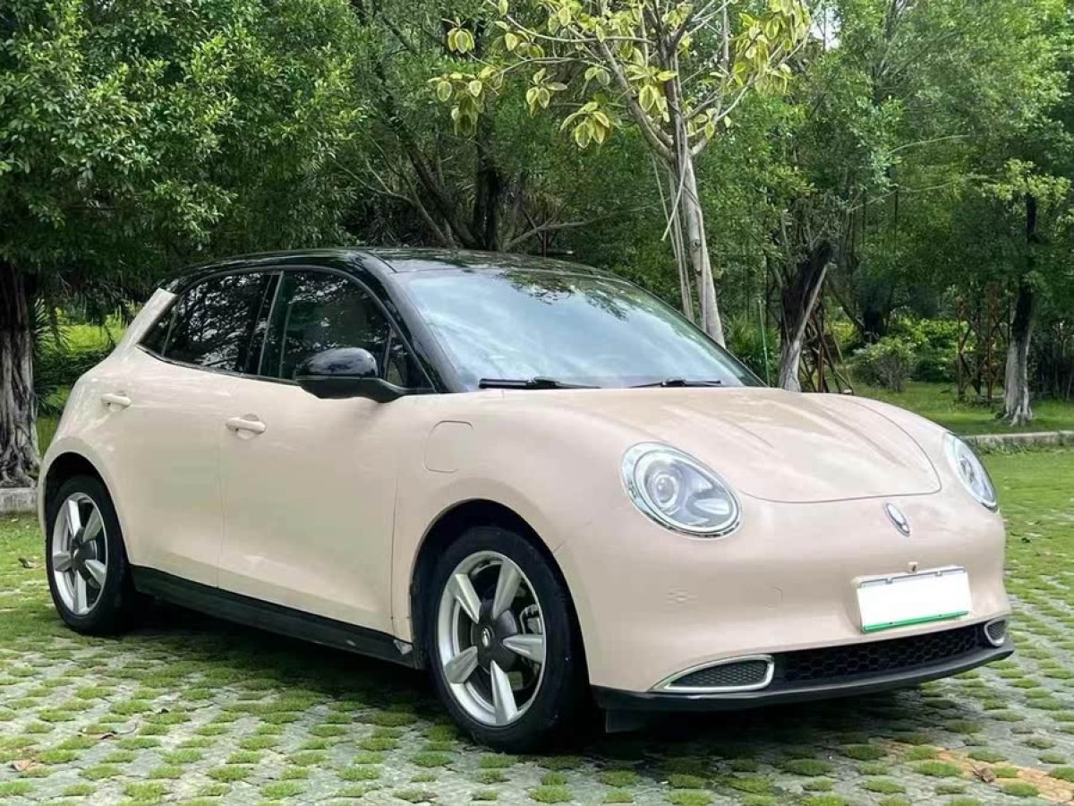 歐拉 歐拉好貓  2021款 400km標(biāo)準(zhǔn)續(xù)航 公務(wù)版 磷酸鐵鋰圖片