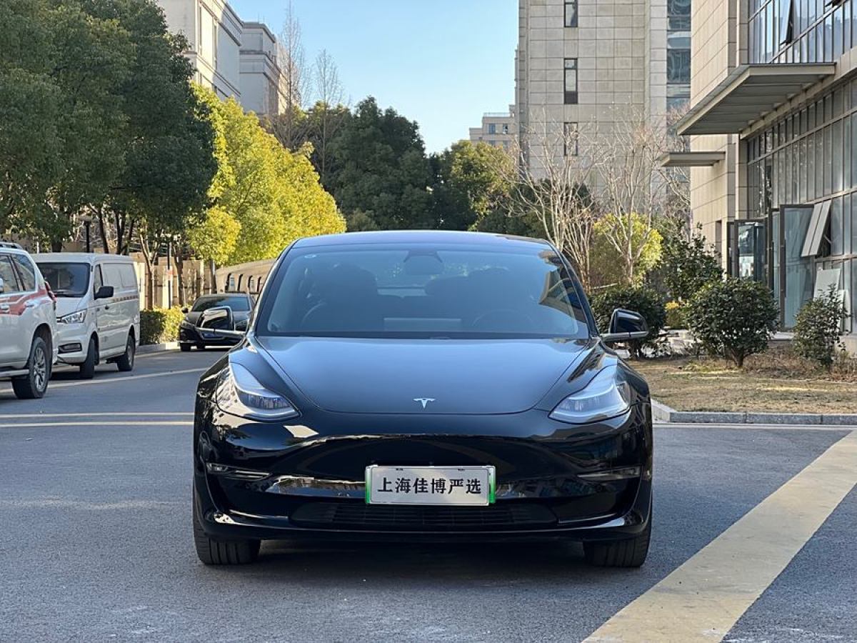 特斯拉 Model 3  2019款 長(zhǎng)續(xù)航后驅(qū)版圖片