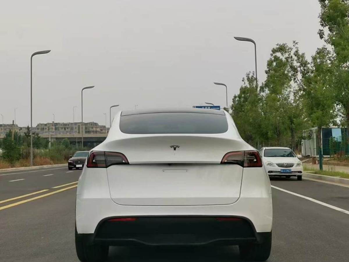 特斯拉 Model Y  2020款 改款 長(zhǎng)續(xù)航后輪驅(qū)動(dòng)版圖片