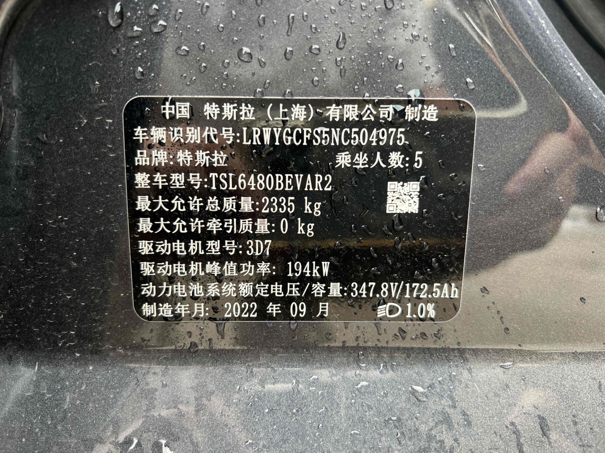 特斯拉 Model Y  2020款 改款 長續(xù)航后輪驅(qū)動版圖片