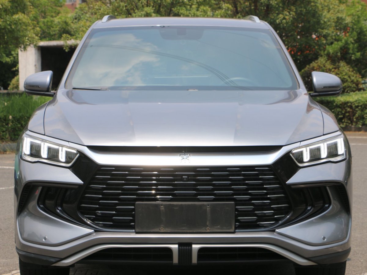 比亞迪 宋Pro新能源  2023款 冠軍版 DM-i 71KM超越型圖片