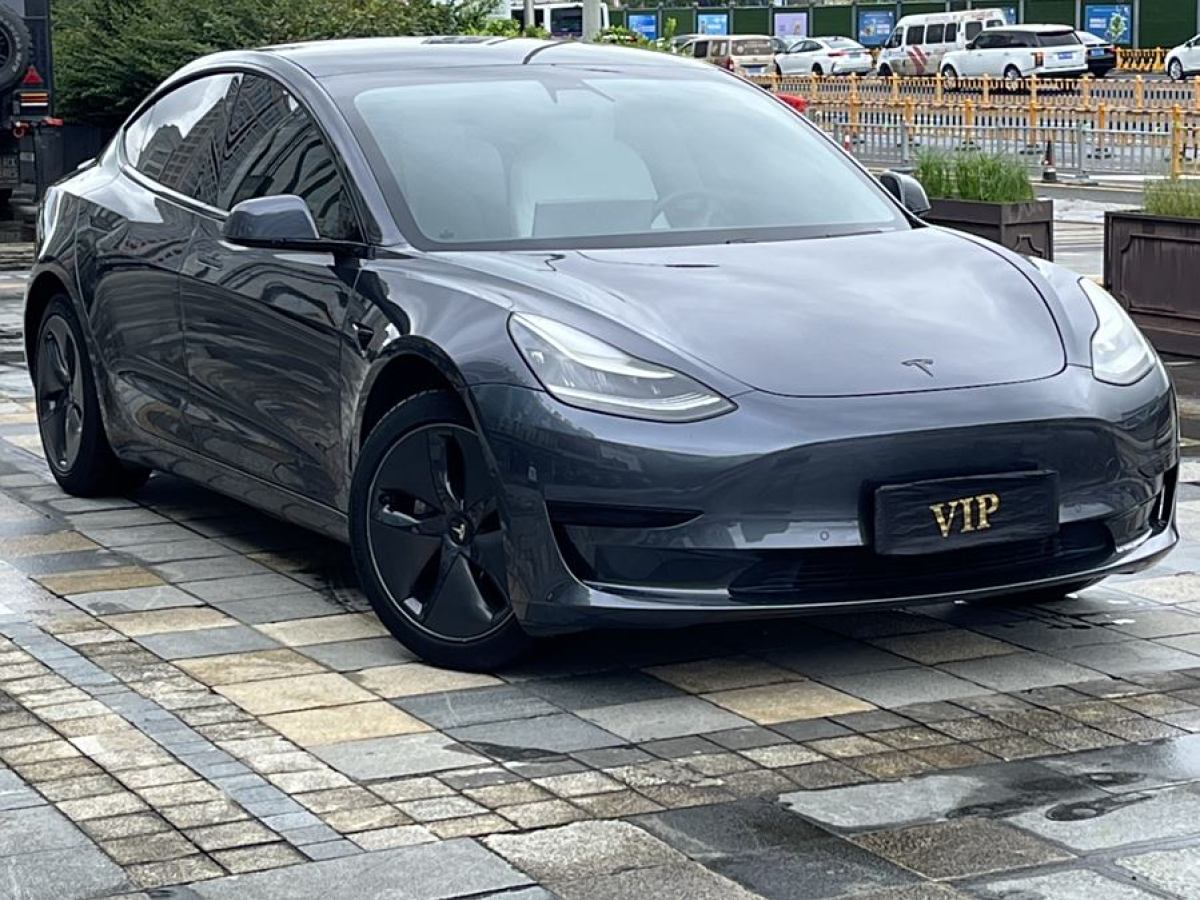 特斯拉 Model 3  2019款 標準續(xù)航后驅升級版圖片