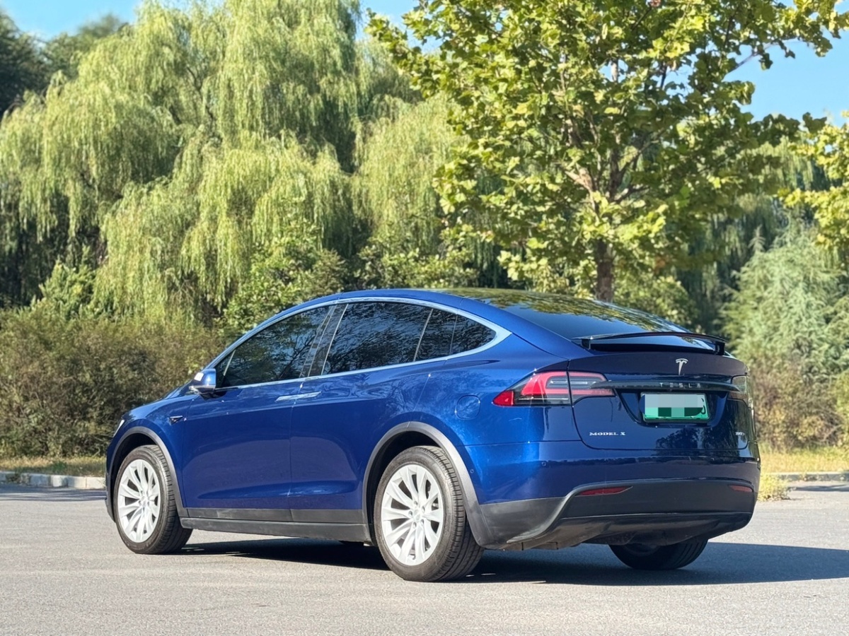 2019年4月特斯拉 Model X  2017款 Model X 100D 長(zhǎng)續(xù)航版