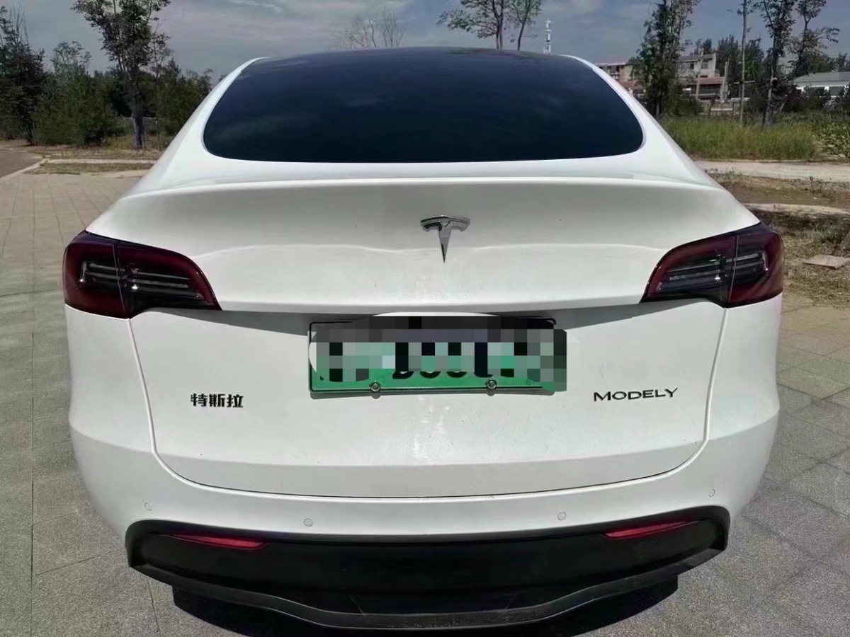 特斯拉 Model 3  2022款 改款 長(zhǎng)續(xù)航全輪驅(qū)動(dòng)版圖片