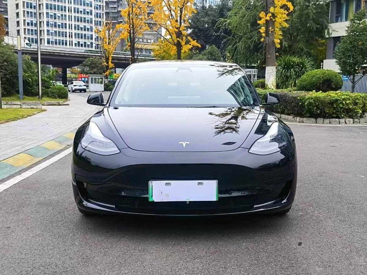 特斯拉 Model 3  2021款 改款 標(biāo)準(zhǔn)續(xù)航后驅(qū)升級版圖片