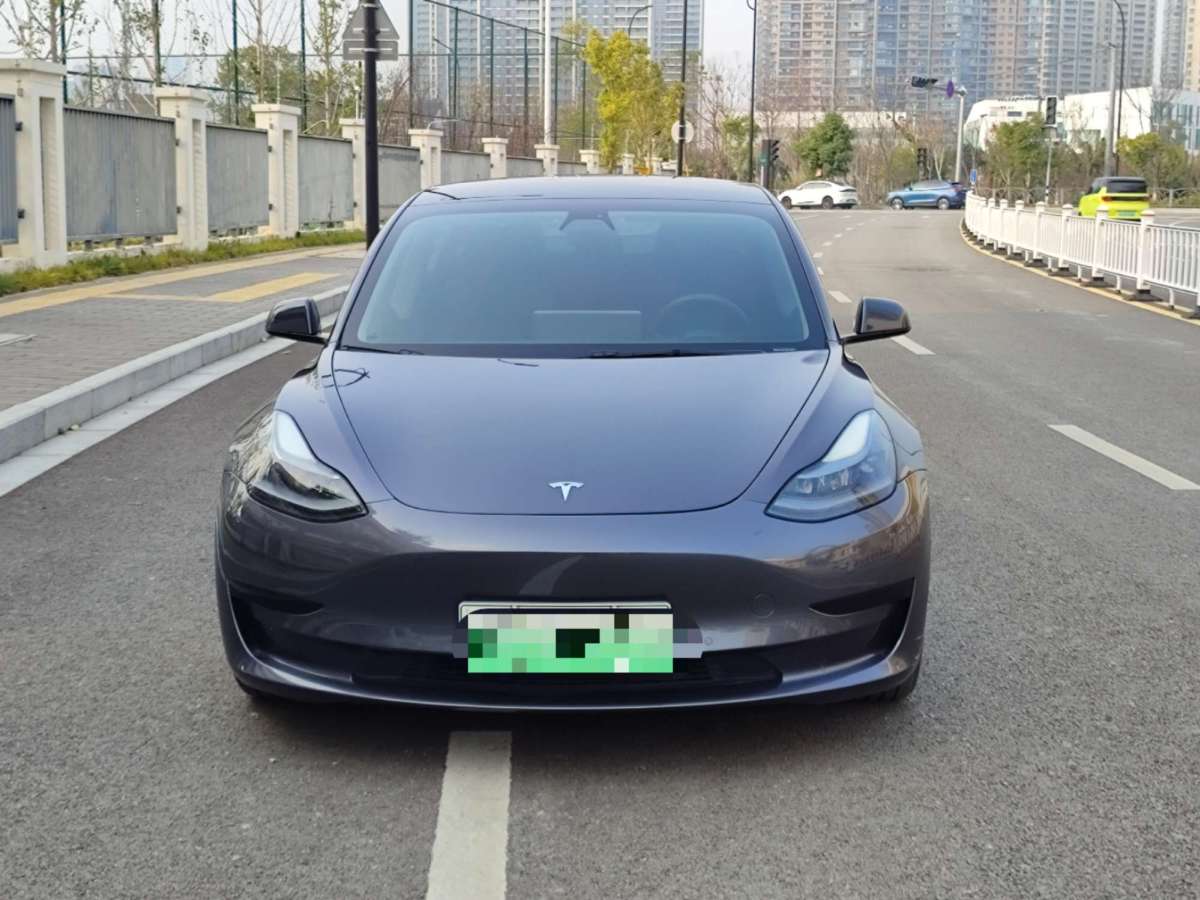 特斯拉 Model 3  2021款 標(biāo)準(zhǔn)續(xù)航后驅(qū)升級(jí)版 3D6圖片