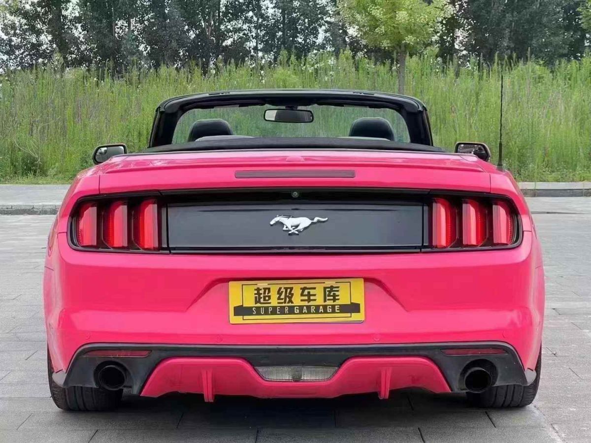 福特 Mustang  2016款 2.3T 性能版圖片