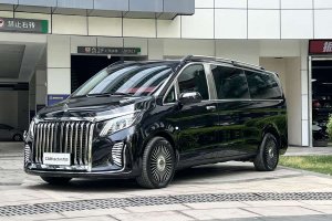 威霆 奔馳 2.0T 精英版 7座