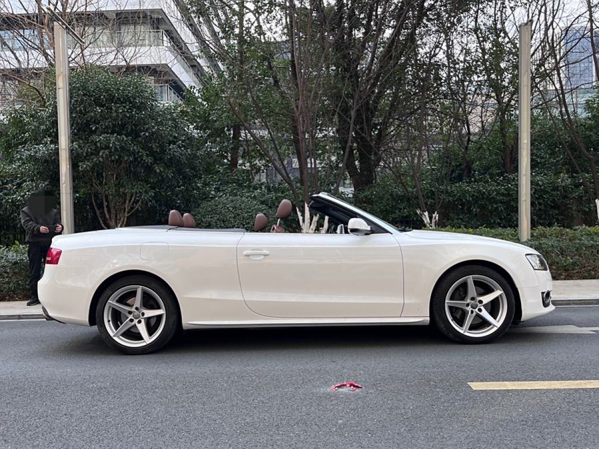 奧迪 奧迪A5  2010款 2.0TFSI Cabriolet圖片