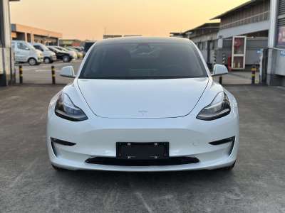 2020年3月 特斯拉 Model 3 長(zhǎng)續(xù)航全輪驅(qū)動(dòng)版圖片