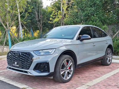 2023年1月 奥迪 奥迪Q5 e-tron 40 e-tron 星耀型 影武士版图片