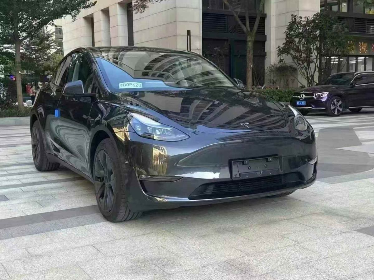 2022年1月特斯拉 Model 3  2022款 Performance高性能全輪驅(qū)動版