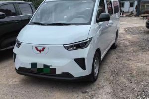 五菱揚(yáng)光 五菱 230km 實(shí)用型