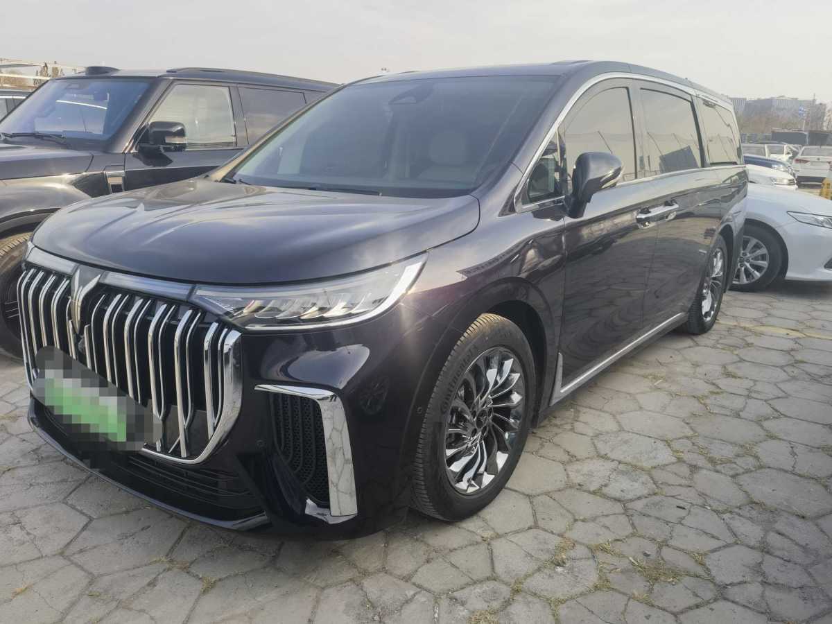 嵐圖 夢(mèng)想家  2024款 PHEV 超長(zhǎng)續(xù)航旗艦版圖片