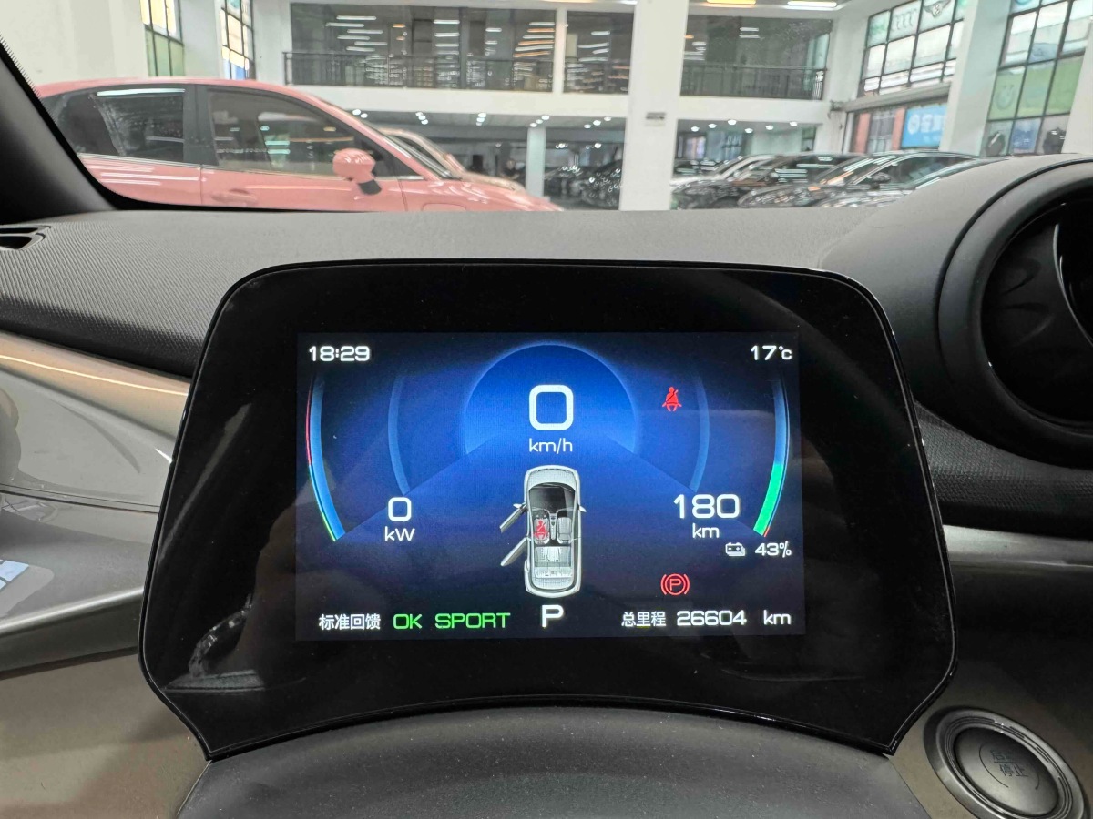 比亞迪 海豚  2023款 420km 自由版圖片