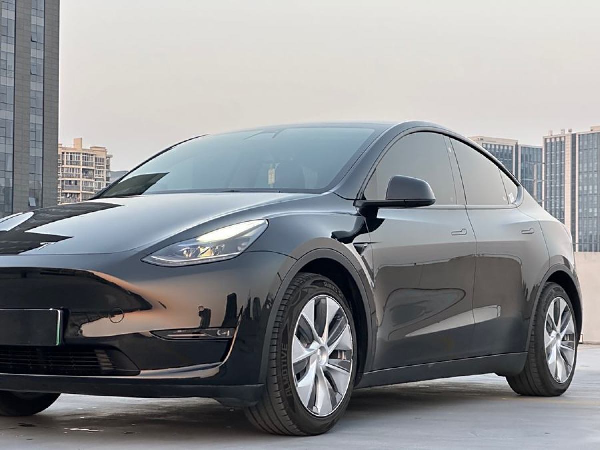 特斯拉 Model 3  2021款 改款 標(biāo)準(zhǔn)續(xù)航后驅(qū)升級(jí)版圖片