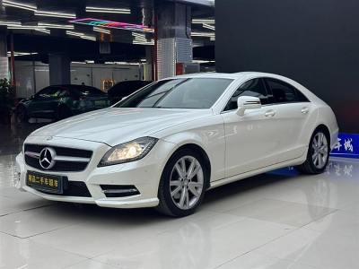 2014年11月 奔馳 奔馳CLS級(進(jìn)口) CLS 300 CGI圖片