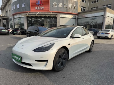 2021年4月 特斯拉 Model 3 標(biāo)準(zhǔn)續(xù)航后驅(qū)升級(jí)版 3D6圖片