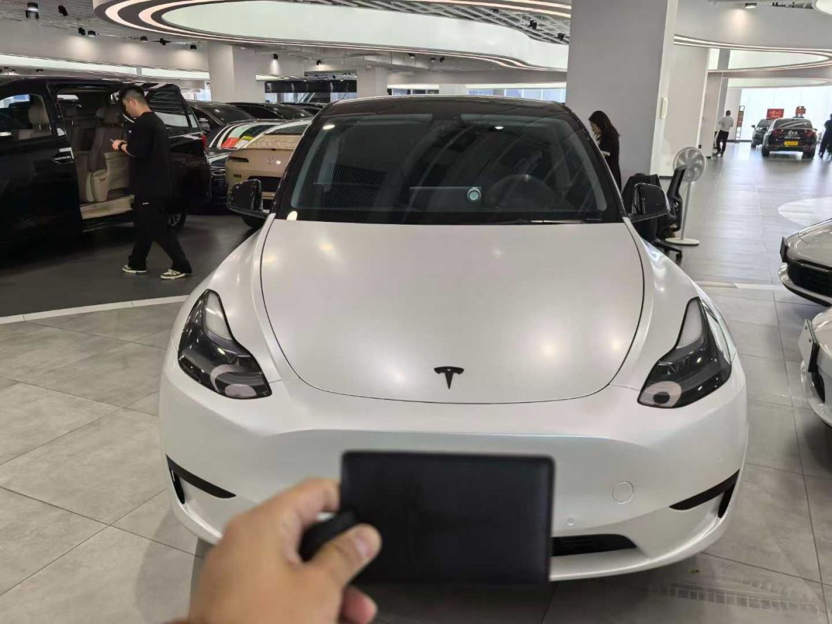 特斯拉 Model Y  2022款 Performance高性能全輪驅(qū)動(dòng)版圖片