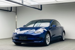 Model 3 特斯拉 標(biāo)準(zhǔn)續(xù)航后驅(qū)升級版